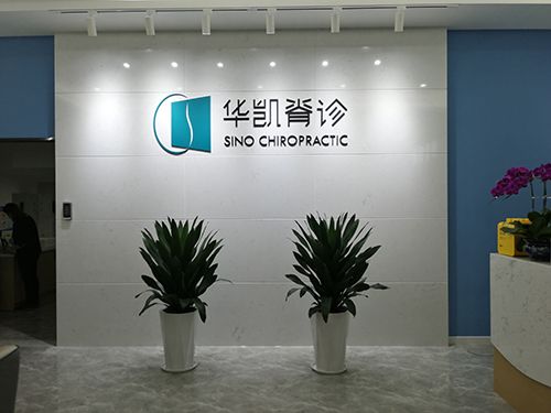 人體姿態檢測儀