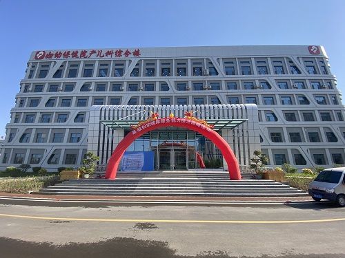 人體姿態檢測儀
