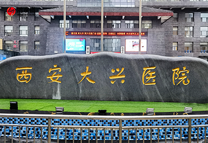 體態評系統
