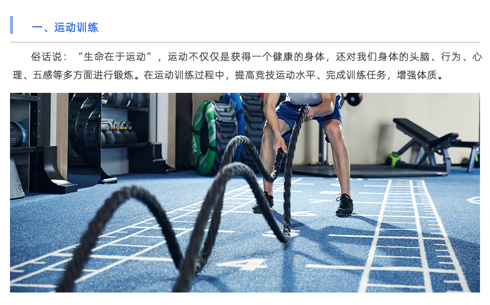 體能測試儀