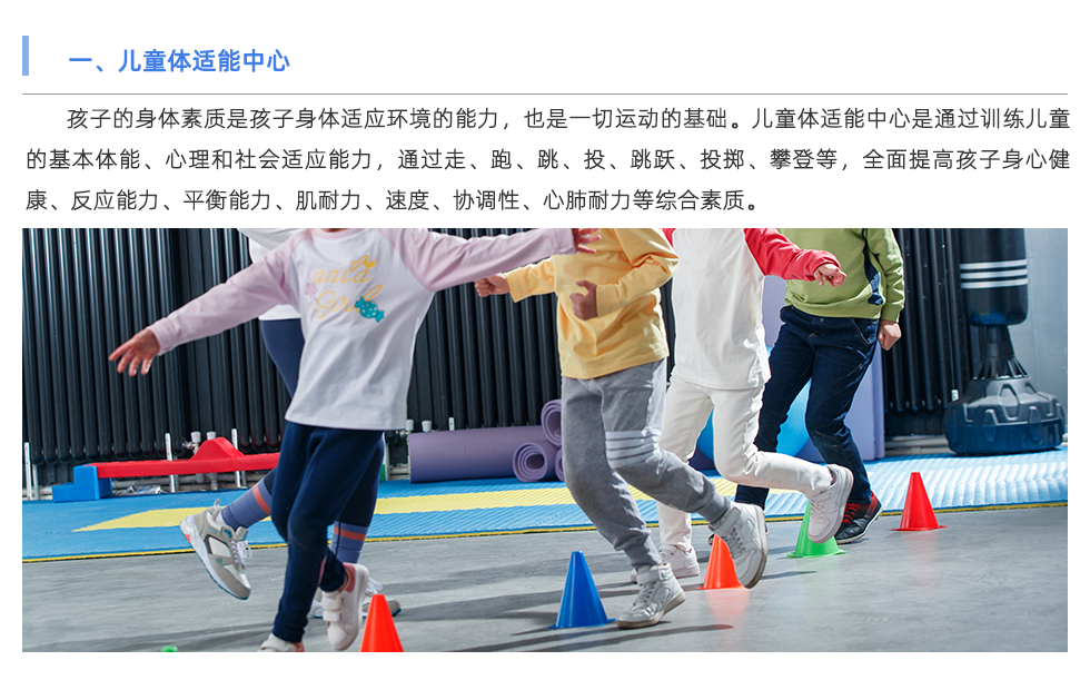 體能測試儀