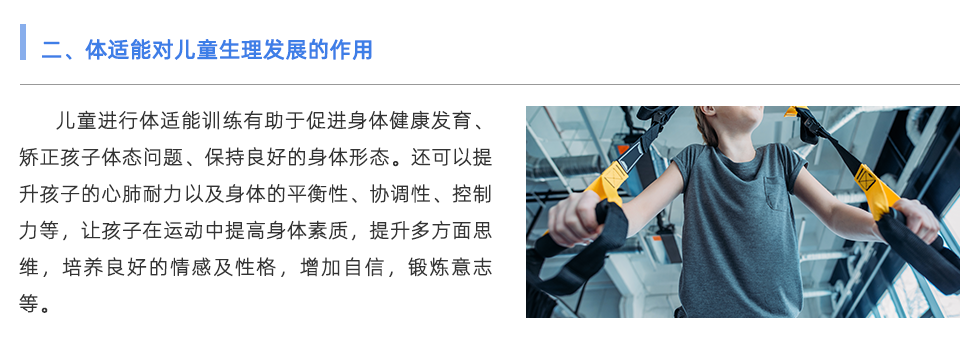 體能測試儀