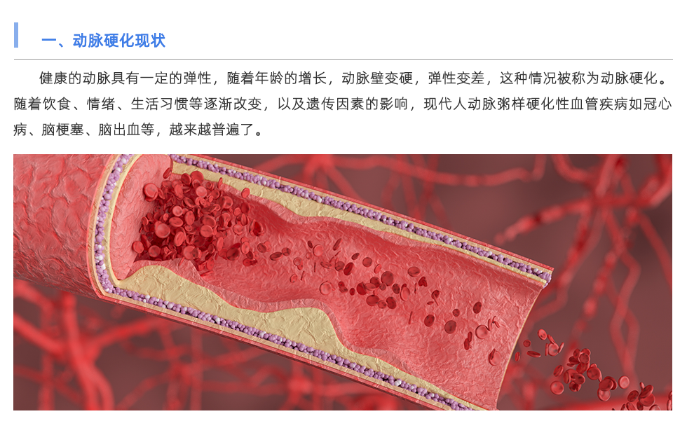 動脈硬化分析儀
