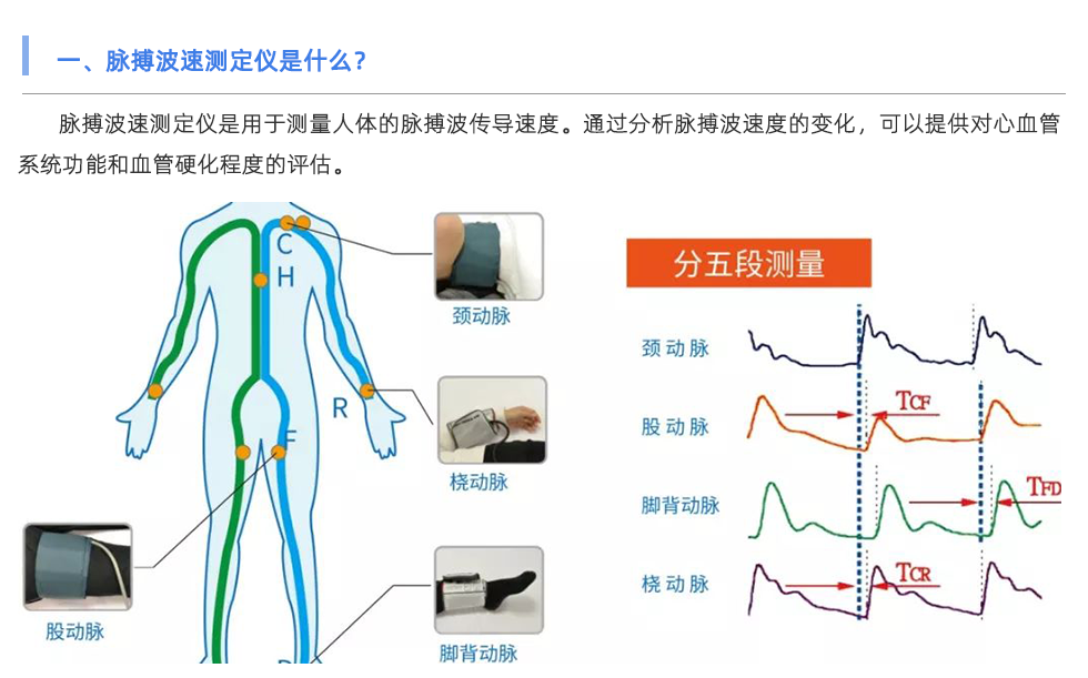 脈搏波速測定儀