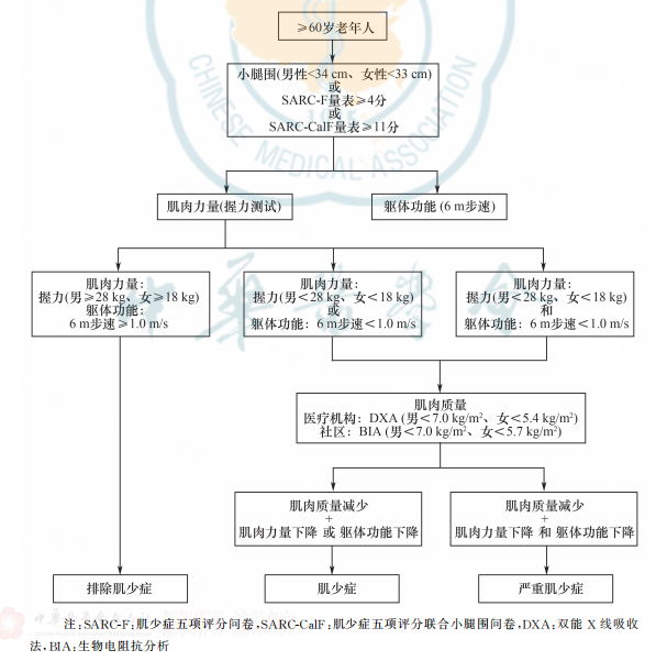 肌少癥評估